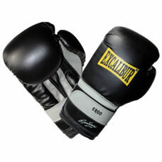 Boxhandschuh WORKOUT 10 Unzen